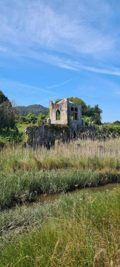 Casa Beira Rio Villa Viana do Castelo Eksteriør bilde